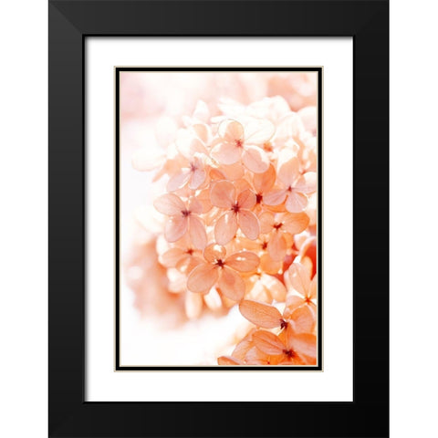 Sunny Morning II Black Modern Wood Framed Art Print with Double Matting by Stalus, Judy