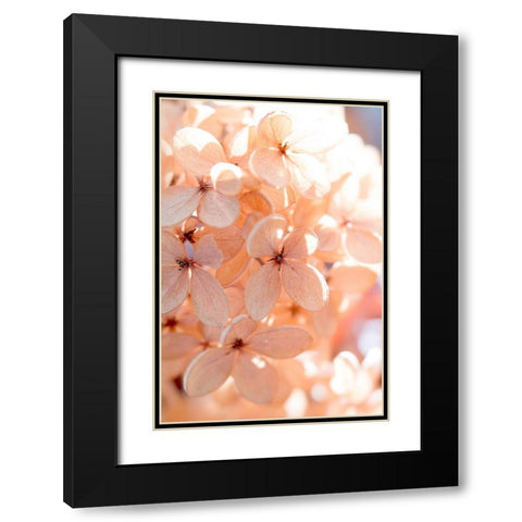 Sunny Morning III Black Modern Wood Framed Art Print with Double Matting by Stalus, Judy