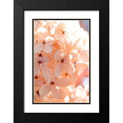 Sunny Morning III Black Modern Wood Framed Art Print with Double Matting by Stalus, Judy