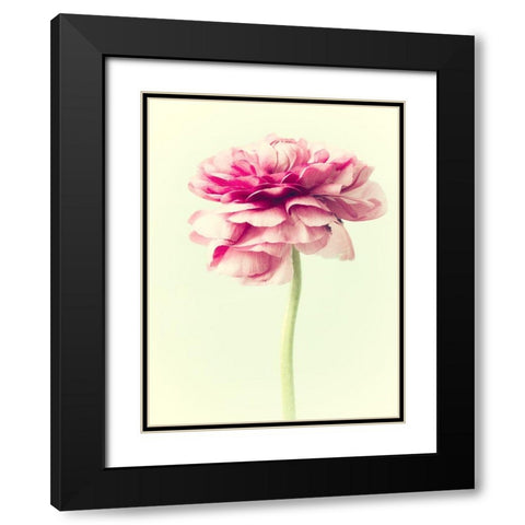 Lush Botanical I Black Modern Wood Framed Art Print with Double Matting by Stalus, Judy