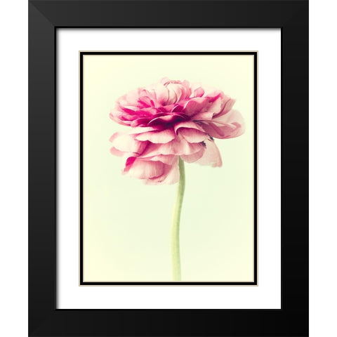 Lush Botanical I Black Modern Wood Framed Art Print with Double Matting by Stalus, Judy
