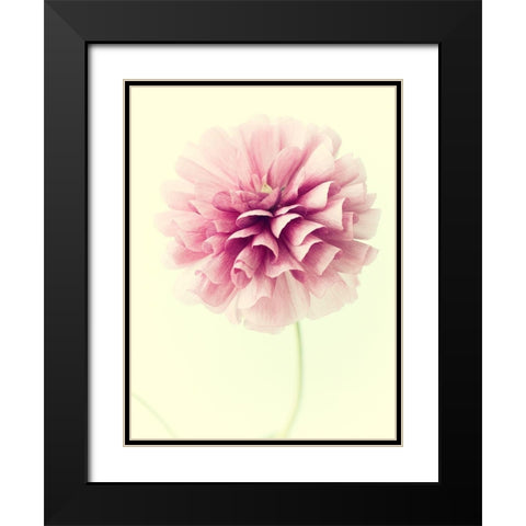 Lush Botanical III Black Modern Wood Framed Art Print with Double Matting by Stalus, Judy