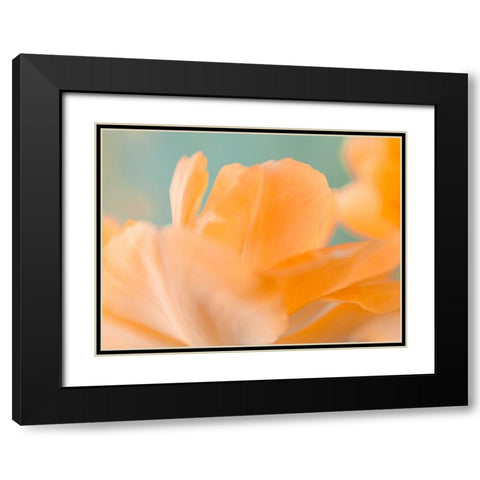 Double Vision I Black Modern Wood Framed Art Print with Double Matting by Stalus, Judy
