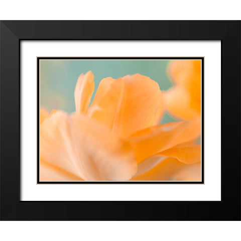 Double Vision I Black Modern Wood Framed Art Print with Double Matting by Stalus, Judy