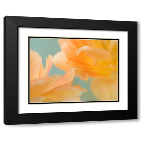 Double Vision II Black Modern Wood Framed Art Print with Double Matting by Stalus, Judy