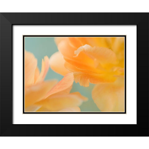 Double Vision II Black Modern Wood Framed Art Print with Double Matting by Stalus, Judy