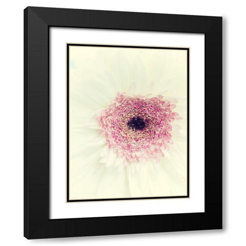 Flowers Aglow II Black Modern Wood Framed Art Print with Double Matting by Stalus, Judy