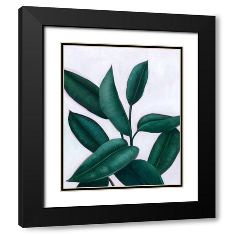 Verdant Ficus II Black Modern Wood Framed Art Print with Double Matting by Popp, Grace
