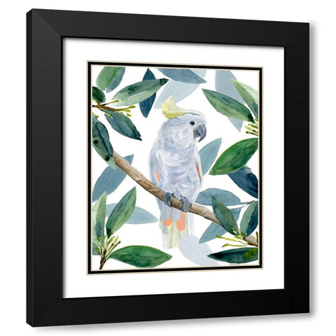 Cockatoo Perch I Black Modern Wood Framed Art Print with Double Matting by Warren, Annie