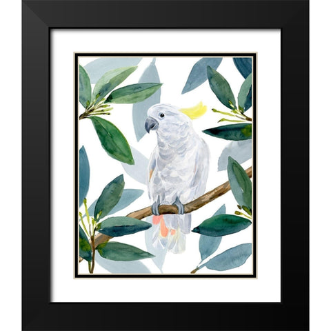 Cockatoo Perch II Black Modern Wood Framed Art Print with Double Matting by Warren, Annie