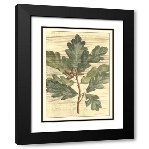 Weathered Oak Leaves I Black Modern Wood Framed Art Print with Double Matting by DeShayes, Gerard Paul