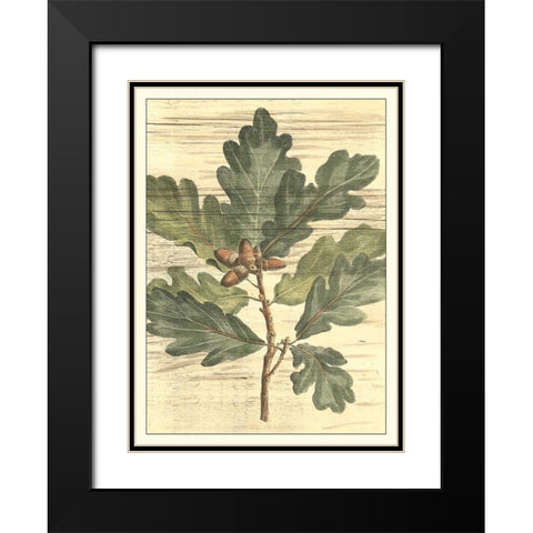 Weathered Oak Leaves I Black Modern Wood Framed Art Print with Double Matting by DeShayes, Gerard Paul