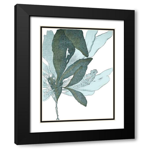 Seaside Seaweed I Black Modern Wood Framed Art Print with Double Matting by Vision Studio