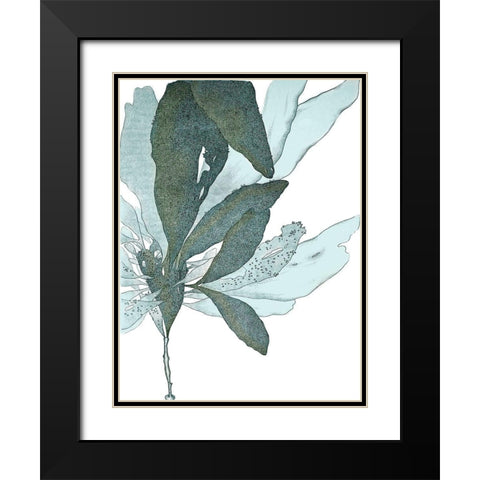 Seaside Seaweed I Black Modern Wood Framed Art Print with Double Matting by Vision Studio