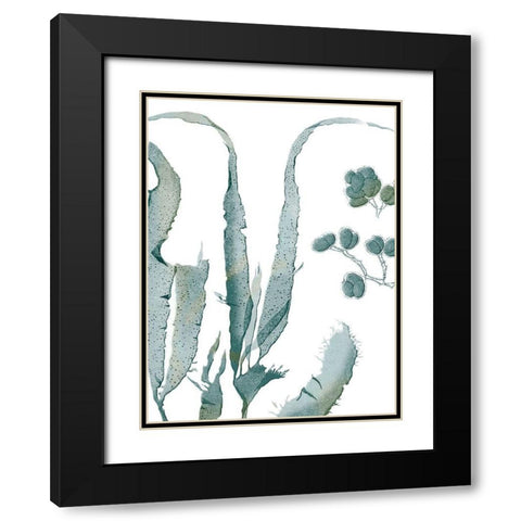 Seaside Seaweed III Black Modern Wood Framed Art Print with Double Matting by Vision Studio