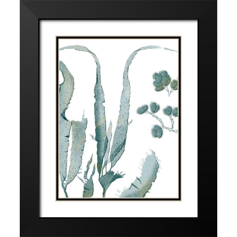 Seaside Seaweed III Black Modern Wood Framed Art Print with Double Matting by Vision Studio