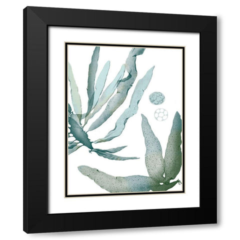 Seaside Seaweed IV Black Modern Wood Framed Art Print with Double Matting by Vision Studio