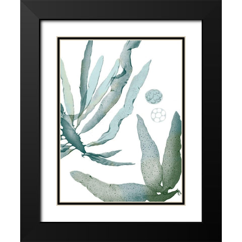 Seaside Seaweed IV Black Modern Wood Framed Art Print with Double Matting by Vision Studio