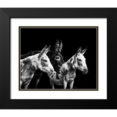 Donkey Portrait II Black Modern Wood Framed Art Print with Double Matting by PHBurchett
