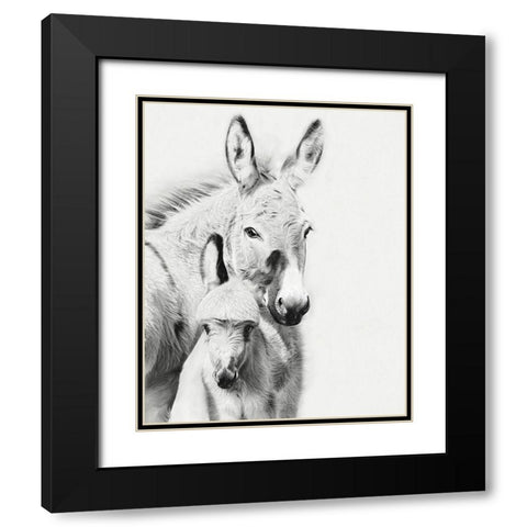 Donkey Portrait V Black Modern Wood Framed Art Print with Double Matting by PHBurchett