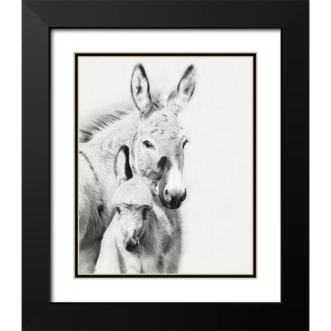 Donkey Portrait V Black Modern Wood Framed Art Print with Double Matting by PHBurchett