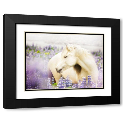 Horse in Lavender III Black Modern Wood Framed Art Print with Double Matting by PHBurchett