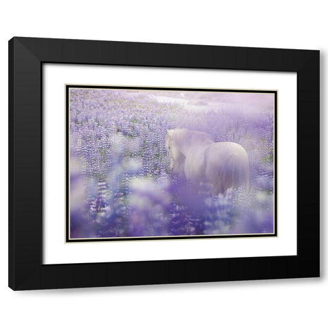 Horse in Lavender IV Black Modern Wood Framed Art Print with Double Matting by PHBurchett
