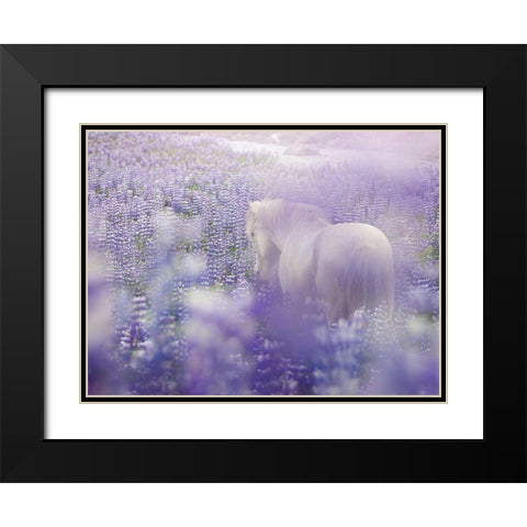 Horse in Lavender IV Black Modern Wood Framed Art Print with Double Matting by PHBurchett