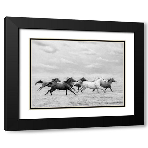 Horse Run I Black Modern Wood Framed Art Print with Double Matting by PHBurchett
