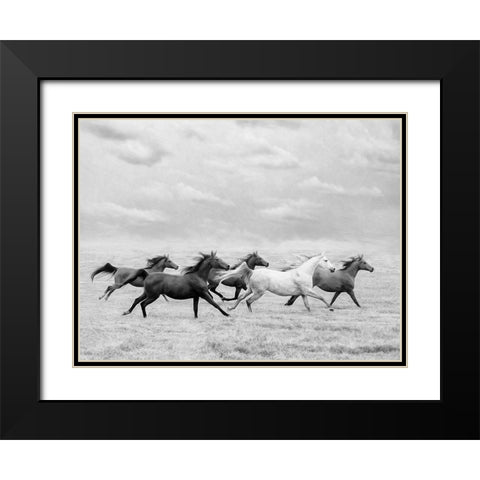 Horse Run I Black Modern Wood Framed Art Print with Double Matting by PHBurchett