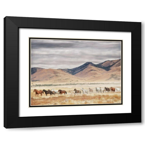 Horse Run II Black Modern Wood Framed Art Print with Double Matting by PHBurchett