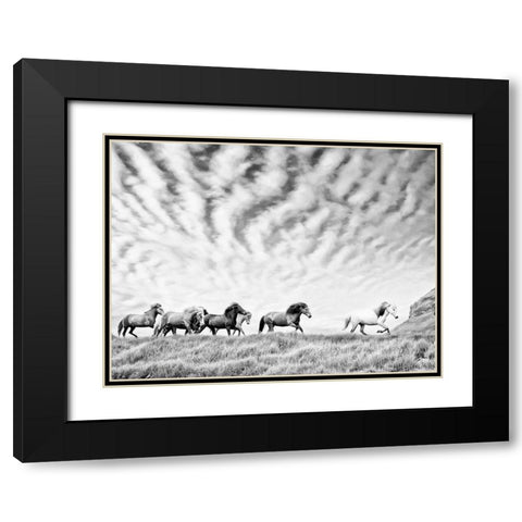 Horse Run III Black Modern Wood Framed Art Print with Double Matting by PHBurchett
