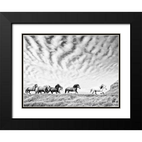 Horse Run III Black Modern Wood Framed Art Print with Double Matting by PHBurchett