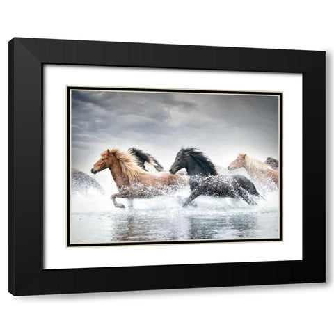 Horse Run V Black Modern Wood Framed Art Print with Double Matting by PHBurchett