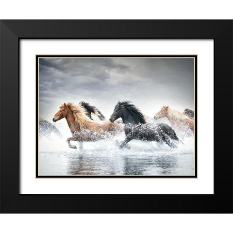 Horse Run V Black Modern Wood Framed Art Print with Double Matting by PHBurchett