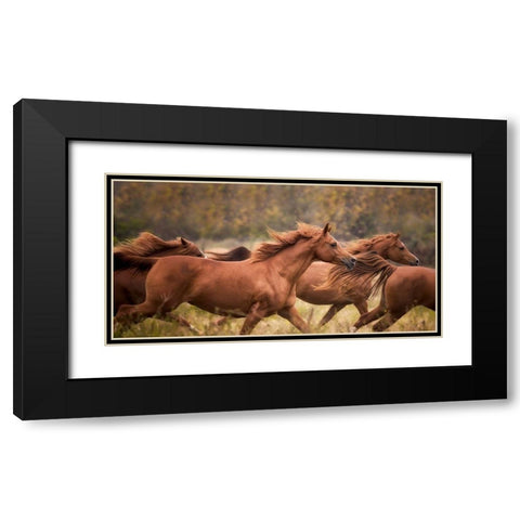 Horse Run VI Black Modern Wood Framed Art Print with Double Matting by PHBurchett