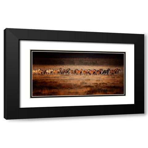 Horse Run VII Black Modern Wood Framed Art Print with Double Matting by PHBurchett