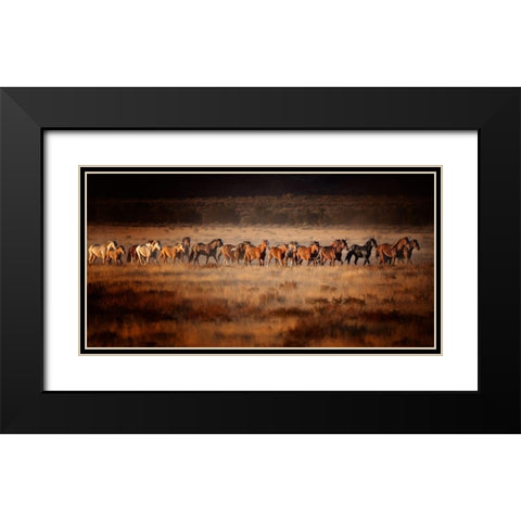 Horse Run VII Black Modern Wood Framed Art Print with Double Matting by PHBurchett