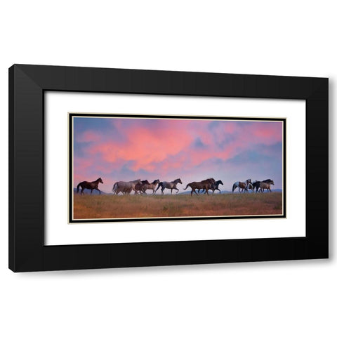 Horse Run VIII Black Modern Wood Framed Art Print with Double Matting by PHBurchett