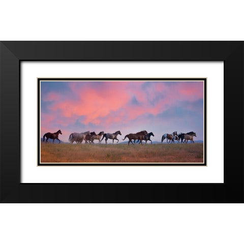 Horse Run VIII Black Modern Wood Framed Art Print with Double Matting by PHBurchett
