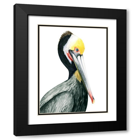Watercolor Pelican I Black Modern Wood Framed Art Print with Double Matting by Popp, Grace