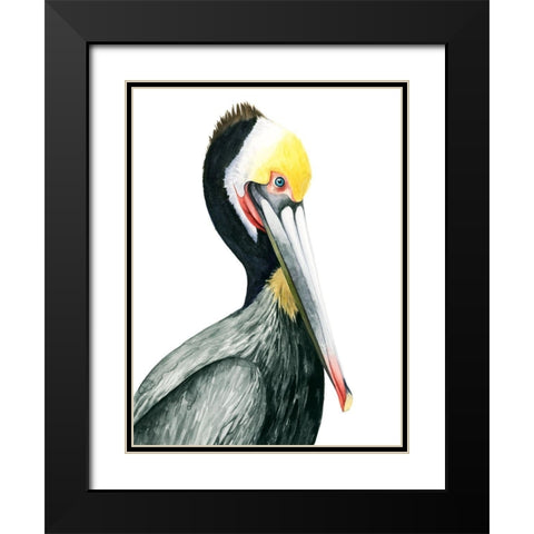Watercolor Pelican I Black Modern Wood Framed Art Print with Double Matting by Popp, Grace