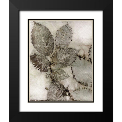 Birch Leaves II Black Modern Wood Framed Art Print with Double Matting by Phillips, Kathryn