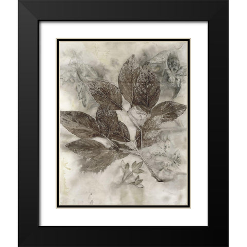 Dogwood Leaves II Black Modern Wood Framed Art Print with Double Matting by Phillips, Kathryn