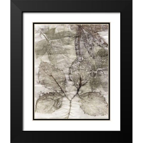 Multi Leaves II Black Modern Wood Framed Art Print with Double Matting by Phillips, Kathryn