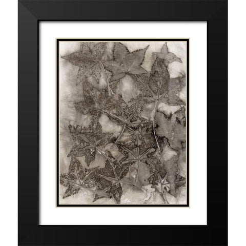 Sweet Gum Leaves Black Modern Wood Framed Art Print with Double Matting by Phillips, Kathryn