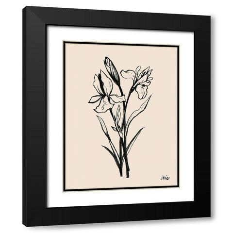 Iris Sketch I Black Modern Wood Framed Art Print with Double Matting by Popp, Grace
