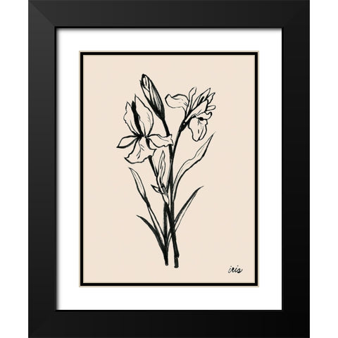 Iris Sketch I Black Modern Wood Framed Art Print with Double Matting by Popp, Grace