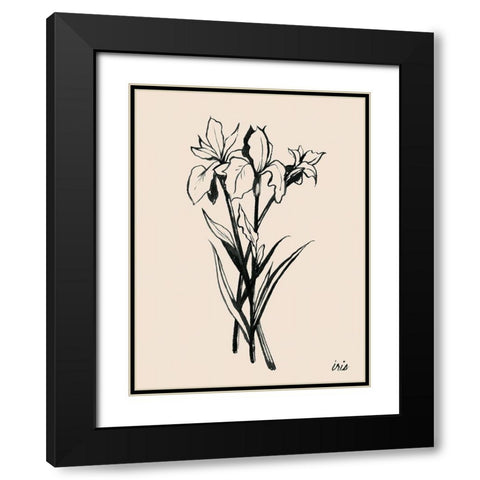 Iris Sketch II Black Modern Wood Framed Art Print with Double Matting by Popp, Grace
