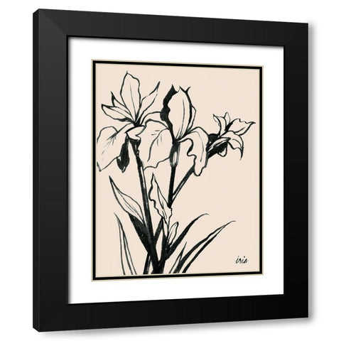 Iris Sketch III Black Modern Wood Framed Art Print with Double Matting by Popp, Grace